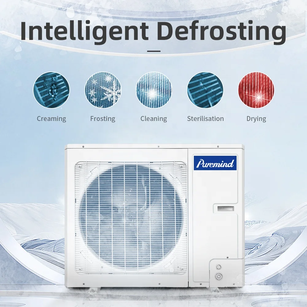 Climatiseur Gree Free Match : Le Meilleur Choix Pour Les Petits Projets Vrf,1 Unité Extérieure,2 Unités Intérieures - Buy Product on Alibaba.com – Image 4