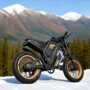 Coswheel Electric Bike for Adult 2000W 60V Off-Road Motorcycle Mountain Bikes 20Inch Electric Bike Fatbike Motorcycles E-bike